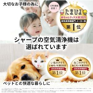 シャープ KI-RD50-W 除加湿空気清浄機...の詳細画像2