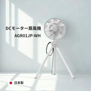 Panasonic（パナソニック） F-GU303-A Panasonic リモコン式 30cm
