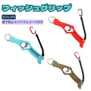 JACKALL（ジャッカル） 【在庫限定40％OFF】ジャッカル GSW ジーエス