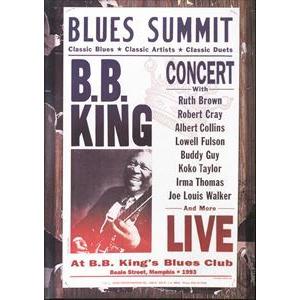 輸入盤 B.B. KING / BLUES SUMMIT CONCERT [DVD]