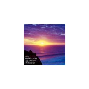 輸入盤 PAUL VAN DYKE / PERFECT REMIX VOL. 2 [CD]｜dss