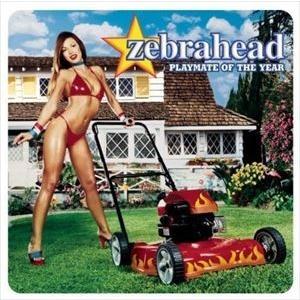 輸入盤 ZEBRAHEAD / PLAYMATE OF THE YEAR [CD]｜dss