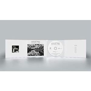 輸入盤 JEAN-MICHEL JARRE / AMAZONIA [CD]｜dss