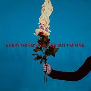 輸入盤 AS DECEMBER FALLS / EVERYTHING’S ON FIRE BUT I...