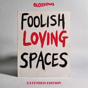 輸入盤 BLOSSOMS / FOOLISH LOVING SPACES（EXTENDED EDIT...