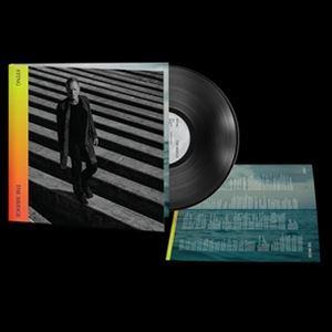 輸入盤 STING / BRIDGE [LP]｜dss