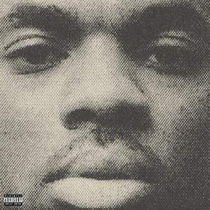 輸入盤 VINCE STAPLES / VINCE STAPLES （STANDARD VINYL）...