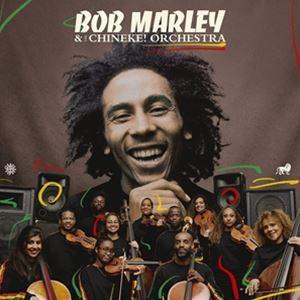 輸入盤 BOB MARLEY ＆ WAILERS / BOB MARLEY ＆ THE CHINEK...