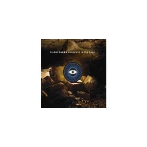 輸入盤 FILTHY DUKES / NONSENSE IN THE DARK [CD]