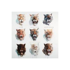 輸入盤 VON HERTZEN BROTHERS / NINE LIVES （LTD） [CD]