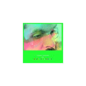 輸入盤 THOMAS DYBDAHL / WHA...の商品画像