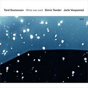 輸入盤 TORD GUSTAVSEN / WHAT WAS SAID [2LP]