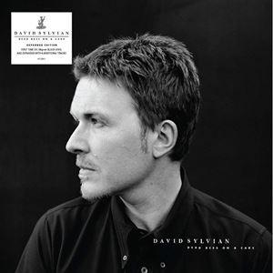 輸入盤 DAVID SYLVIAN / DEAD BEES ON A CAKE [2LP]