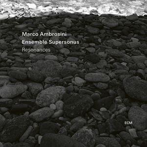 輸入盤 MARCO AMBROSINI / RESONANCES [CD]