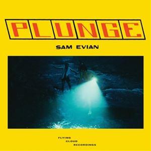 輸入盤 SAM EVIAN / PLUNGE [LP]｜dss