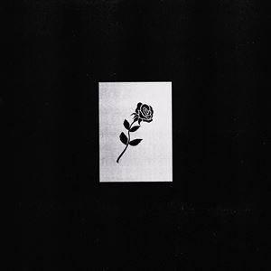 BASI 切愛 2LP レコード アナログ盤 : EastRiverrr-shop - 通販