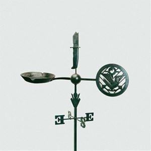 輸入盤 JASON ISBELL AND THE 400 UNIT / WEATHERVANES [...