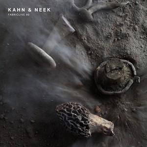 輸入盤 KAHN ＆ NEEK / FABRICLIVE 90 [CD]