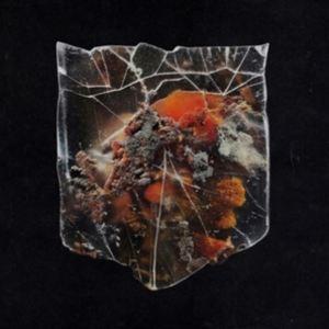 輸入盤 SHIELDS / DEATH ＆ CONNECTION （SPLATTERED MILK ...