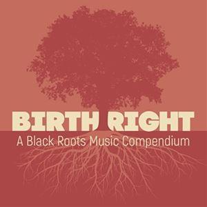 輸入盤 VARIOUS/BIRTHRIGHT： A BLACK ROOTS MUSIC COMPENDIUM [2CD]の商品画像