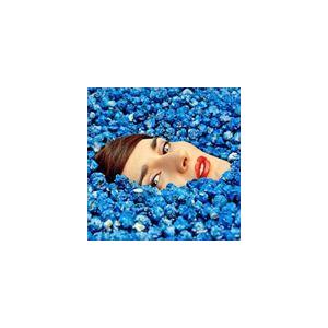 輸入盤 YELLE / COMPLETEMENT FOU [CD]