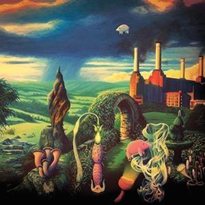 輸入盤 VARIOUS / ANIMALS REIMAGINED ： TRIBUTE TO PINK...