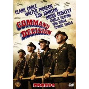 戦略爆撃指令 特別版 [DVD]