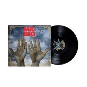 輸入盤 MR. BIG / TEN （JAPAN EDITION） [LP]