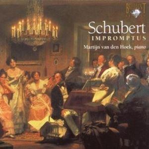 輸入盤 MARTIJN VAN DEN HOEK / SCHUBERT ： IMPROMPTUS [...