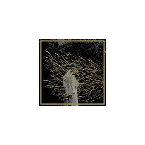 輸入盤 FOREST SWORDS / ENGRAVINGS [CD]