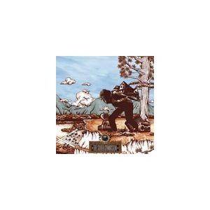 輸入盤 OKKERVIL RIVER / SILVER GYMNASIUM [CD]