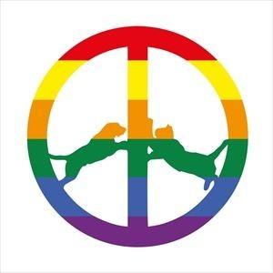 輸入盤 HYPE WILLIAMS / RAINBOW EDITION [LP]