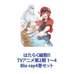 はたらく細胞 DVD 2期 4巻セット はたらく細胞!! TVアニメ第2期 1〜4 [Blu-ray4巻セット] - 最安値