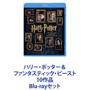 ハリー・ポッター＆ファンタスティック・ビースト 10作品 [Blu-rayセット]｜dss