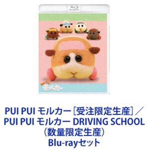 PUI PUI モルカー［受注限定生産］／PUI PUI モルカー DRIVING SCHOOL（数...