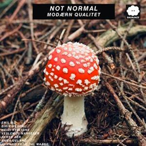 輸入盤 NOT NORMAL / MODAERN QUALITET [LP]