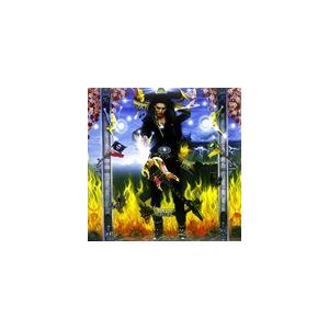 輸入盤 STEVE VAI / PASSION ＆ WARFARE [LP]