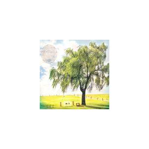 輸入盤 VARIOUS / REFEEL ： THEME 1 ROMANCE [CD]