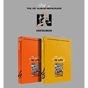 安心の日本国内発送 1st Full Album GO Live 通常盤 B VER. Stray Kids