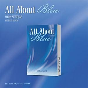 輸入盤 YOOK SUNG JAE （BTOB） / 1ST MINI ALBUM ： ALL AB...