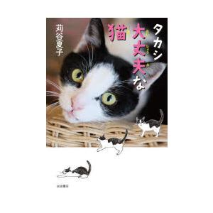 タカシ大丈夫な猫