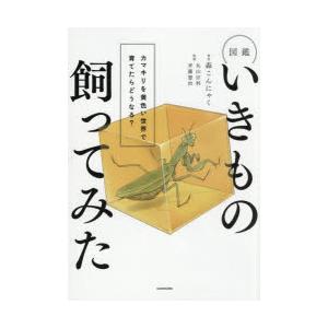 図鑑いきもの飼ってみた カマキリを黄色い世界で育てたらどうなる?