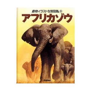 動物イラスト生態図鑑 6