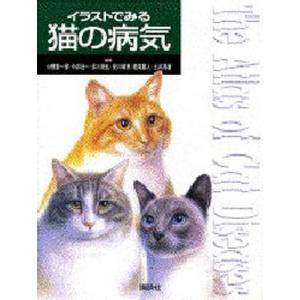 イラストでみる猫の病気｜dss