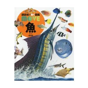 魚 堅牢版