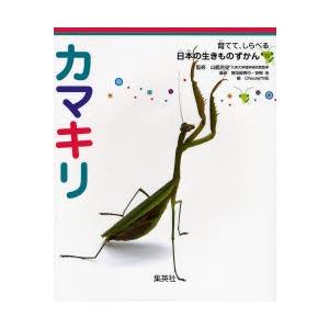 カマキリ