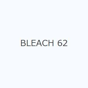 BLEACH 62