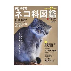 美しすぎるネコ科図鑑 スナネコ マヌルネコ サーバル カラカル ユキヒョウ ジャガー…今、注目のネコ...