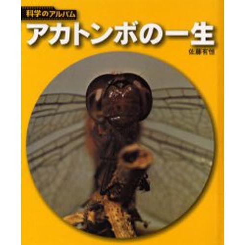 アカトンボの一生 新装版