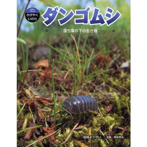 ダンゴムシ 落ち葉の下の生き物